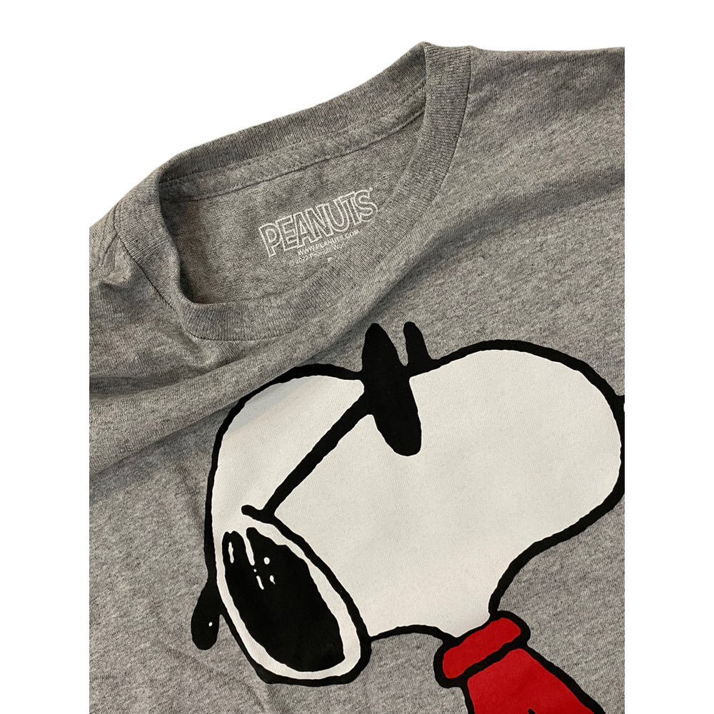 Peanuts Men's Officially Licensed Snoopy Spoiler Alert: I Don't Care Tee T-Shirt - Picture 2 of 2